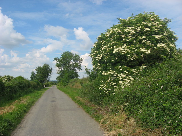 Country road at Mullaghey, Kells