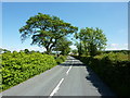 Gisburn Road west of Raygill Moss