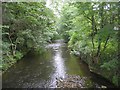 River Holme - from Footbridge off Eastgate