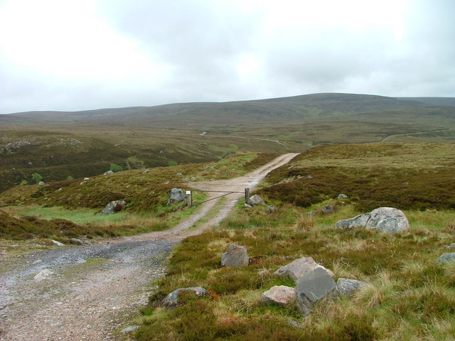 Estate track on the grouse moor © Dave Fergusson cc-by-sa/2.0 ...