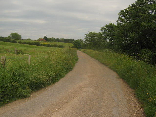 Footpath towards Reading Street