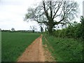 Footpath crosses bridleway [2]