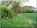 Footpath crosses bridleway [3]