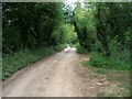 Driveway to the farm