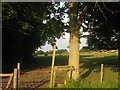 Stile near Pillreed Shaw