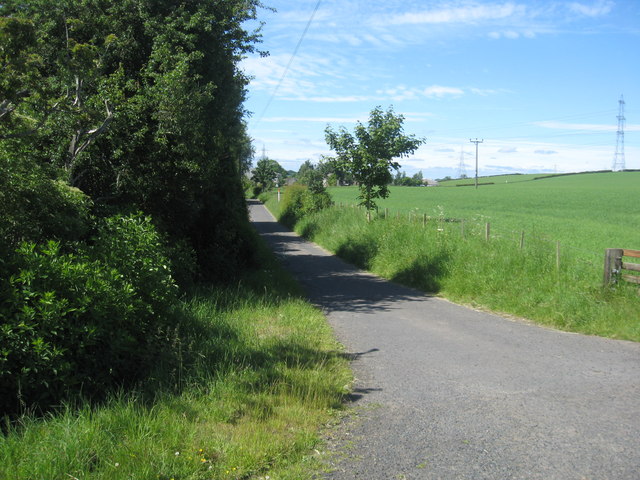 Access road to Todrig Farm