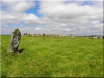 C2500 : Standing stone at Beltany Stone Circle by Kenneth  Allen