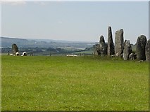 C2500 : Standing stone and Beltany Stone Circle by Kenneth  Allen
