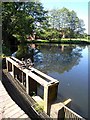 Reflections in the millpond at Sambrook