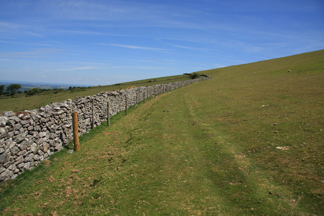 Edge of Black Down © Guy Wareham cc-by-sa/2.0 :: Geograph Britain and ...