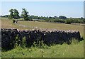 Wall by East Water Lane