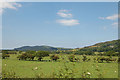 Pasture land just west of Brynglas station