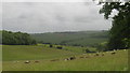 View from footpath near Yawlings Wood