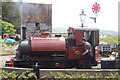 Sir Haydn at Tywyn Wharf station