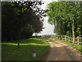 Access road to Ansdore Farm