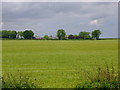 Field  House  Farm  over  a  barley  field.