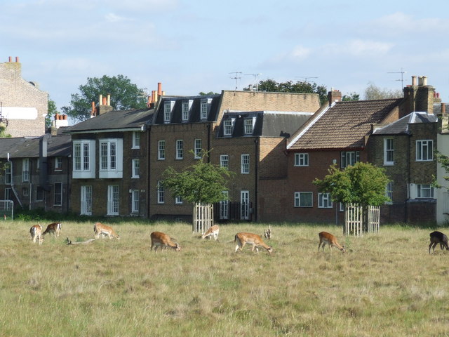 Bushy Park, Hampton Court