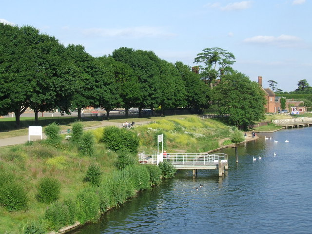 River bank at Hampton Court