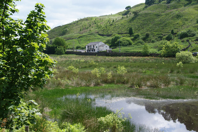 boggy-ground-by-the-rochdale-canal-bill-boaden-cc-by-sa-2-0