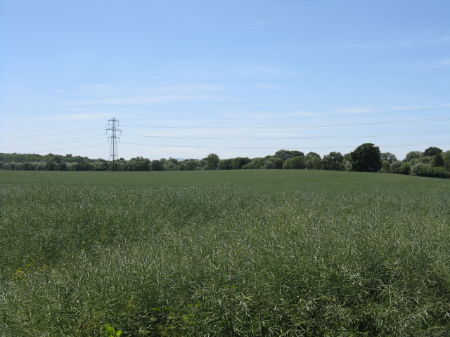 Fields off the access to Doverdale Mill