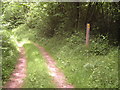 Footpath junction near Park Wood