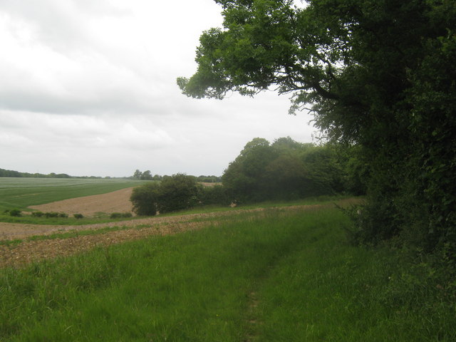 Bridleway beside Doves Wood