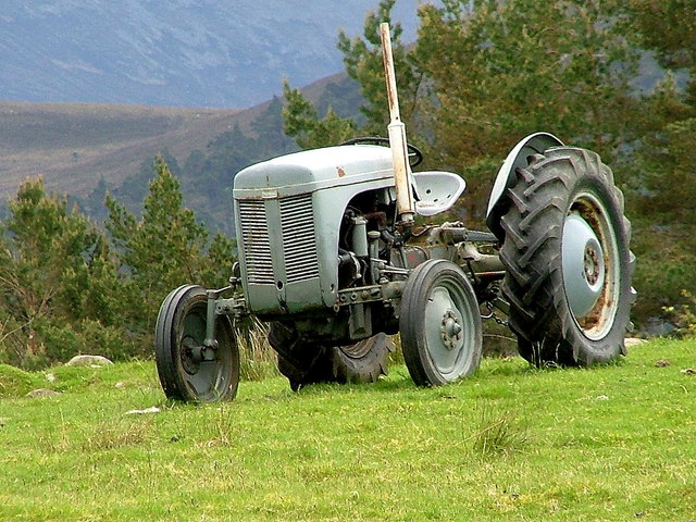 Ferguson tractor at Whitewell Croft