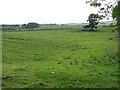  : An undulating field, Edington by Richard Webb