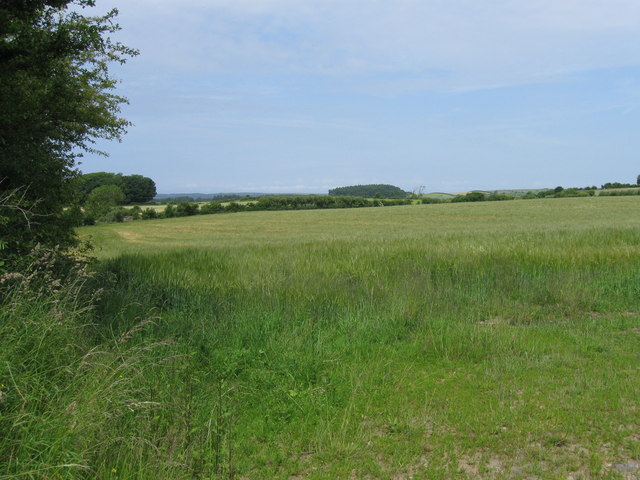 Countryside near Dean