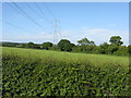 Power line near Cashes Farm