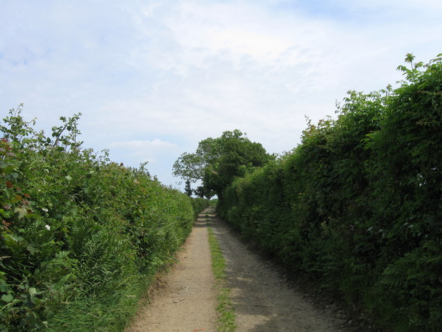 Country Track near Dean