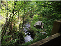 Shady streamside garden picnic area