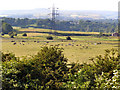 View towards Harefield Hall