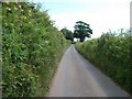 The narrow lane eastwards and upwards out of Efailnewydd