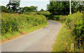 The Ballyglighorn Road near Comber (1)