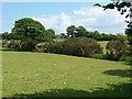 View across pastureland towards Rhos Bach cottage