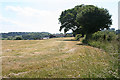 Holcombe Rogus: towards Freathingcott Farm