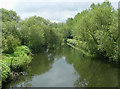 River Tame near Fazeley, Staffordshire