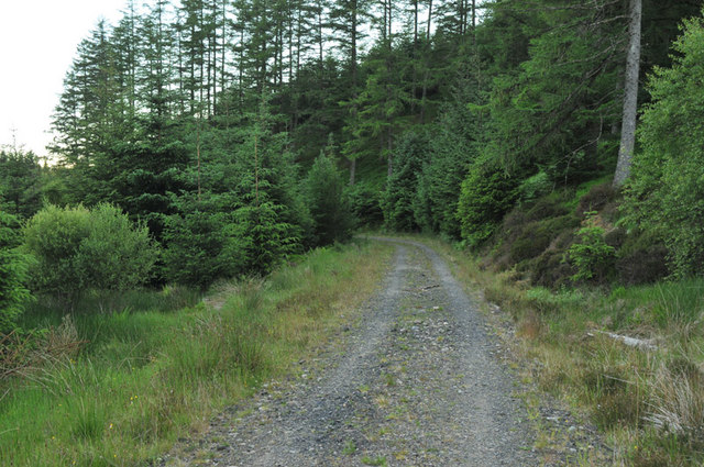 Forestry road in Barcaldine Forest
