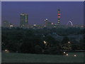 TQ2783 : View from Primrose Hill before dawn by Stephen Craven