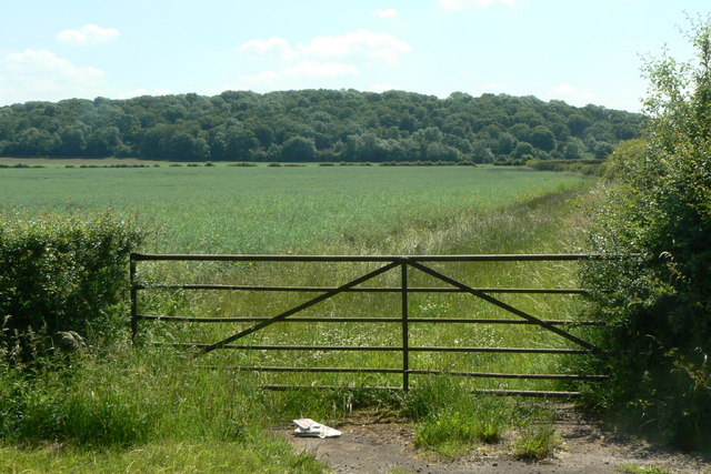 Field gate near Bradmore
