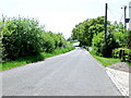 Road south of Chalvington, East Sussex