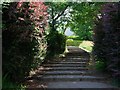 Steps to Kilmory Road