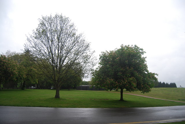 Trees, Crystal Palace Park