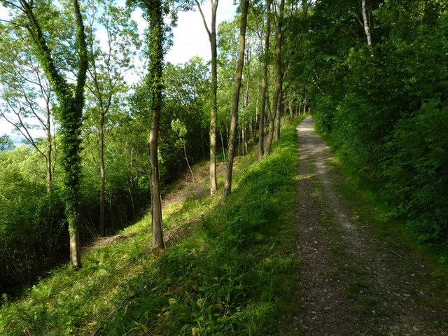 A steep track on Harley Hill