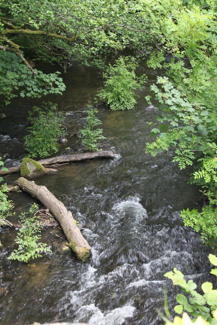 Tributary of River Wolf at Drown's Mill