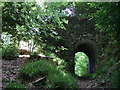 Castell Malgwyn tunnel, looking east