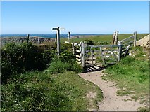 SM8031 : Signpost and gate on the coastal path by Robin Drayton