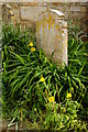 Graves at St.Peter & St.Paul, Lingfield, Surrey