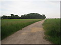 Roadway to Cold Harbour Farm